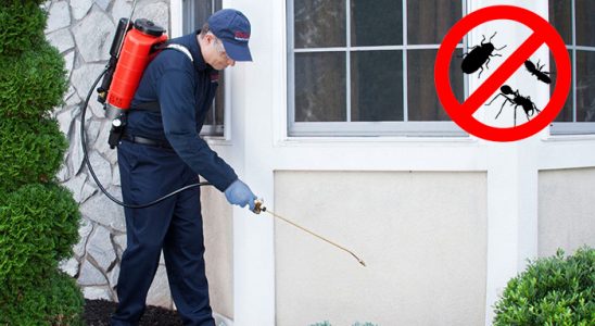 Zeytinburnu Karınca İlaçlama böcek ilaçlama ve haşere kontrolü — ilaclama-tr.com